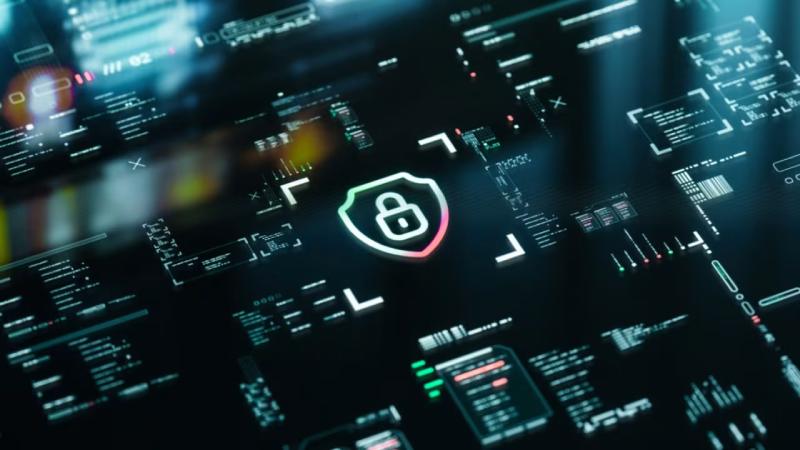 丽江软件开发公司
